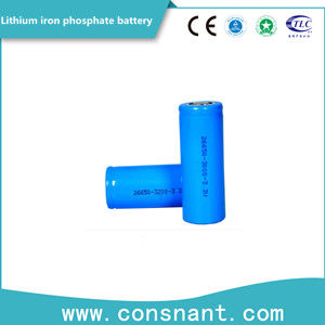 Ciclo longo de pouco peso da bateria pequena do fosfato do ferro do lítio do tamanho que serve a vida
